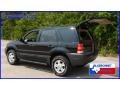 2004 Black Ford Escape XLT V6  photo #4