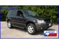 2004 Black Ford Escape XLT V6  photo #5