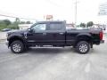 Agate Black - F250 Super Duty XLT Crew Cab 4x4 Photo No. 3