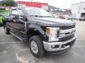 Agate Black - F250 Super Duty XLT Crew Cab 4x4 Photo No. 7