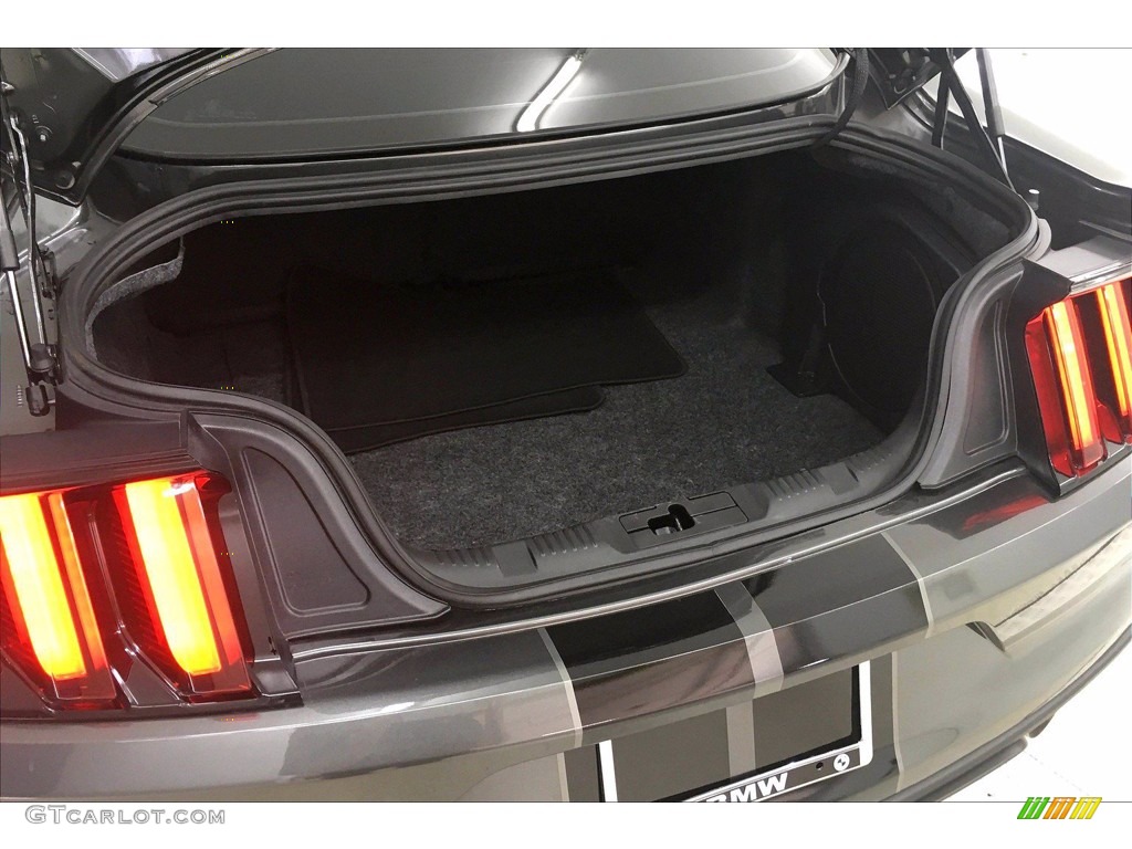 2019 Ford Mustang Shelby GT350 Trunk Photo #139601099