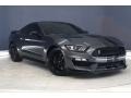 Magnetic 2019 Ford Mustang Shelby GT350 Exterior
