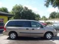Arizona Beige Metallic - Freestar SE Photo No. 2