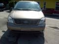 Arizona Beige Metallic - Freestar SE Photo No. 8