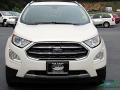 White Platinum - EcoSport Titanium Photo No. 8