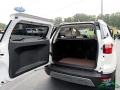 White Platinum - EcoSport Titanium Photo No. 14