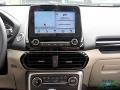 White Platinum - EcoSport Titanium Photo No. 18
