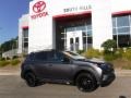 Magnetic Gray Metallic - RAV4 Adventure AWD Photo No. 2