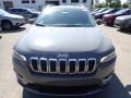 Sting-Gray - Cherokee Limited 4x4 Photo No. 2