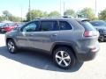 Sting-Gray - Cherokee Limited 4x4 Photo No. 8