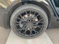 2019 Tesla Model S 100D Wheel and Tire Photo