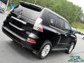 Black Onyx - GX 460 Premium Photo No. 27
