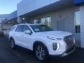 Hyper White - Palisade SEL AWD Photo No. 1
