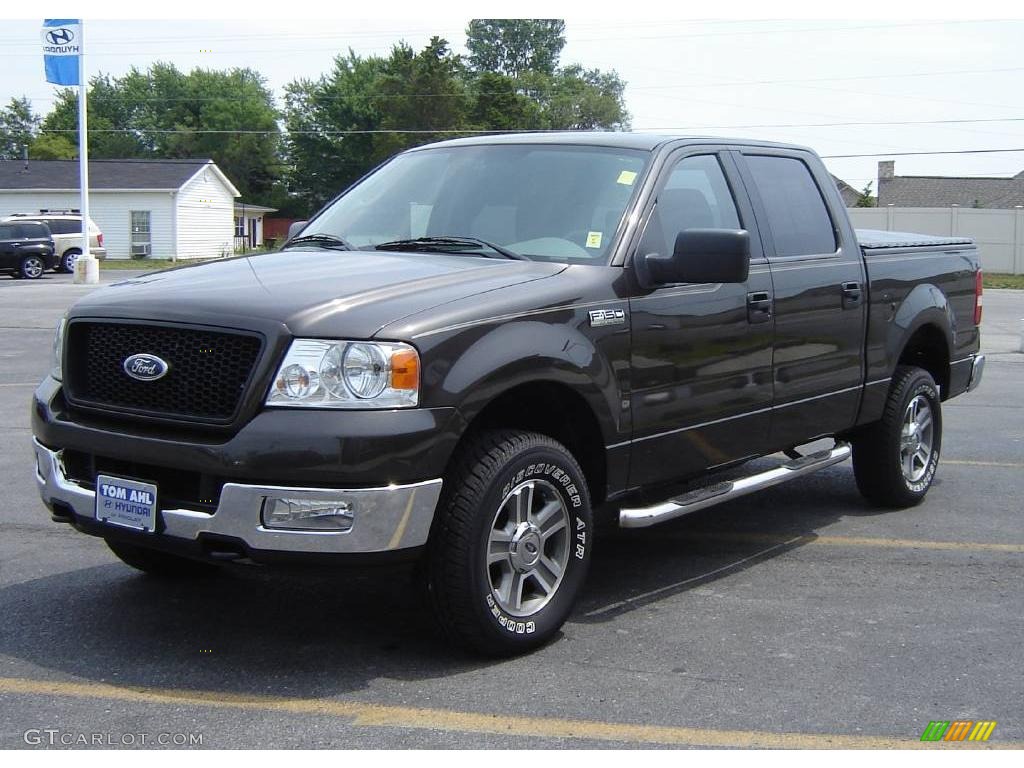 2005 F150 XLT SuperCrew 4x4 - Dark Stone Metallic / Medium Flint Grey photo #1