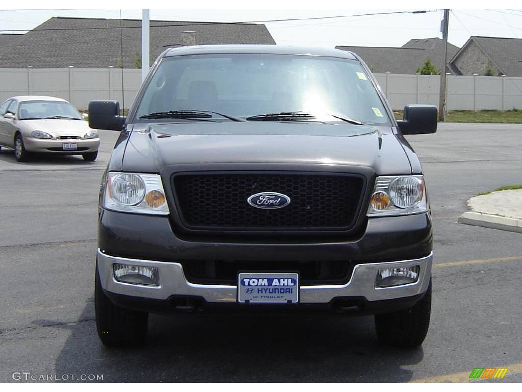 2005 F150 XLT SuperCrew 4x4 - Dark Stone Metallic / Medium Flint Grey photo #8