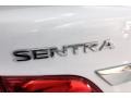 2019 Fresh Powder Nissan Sentra S  photo #7