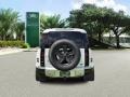 Fuji White - Defender 110 Photo No. 8