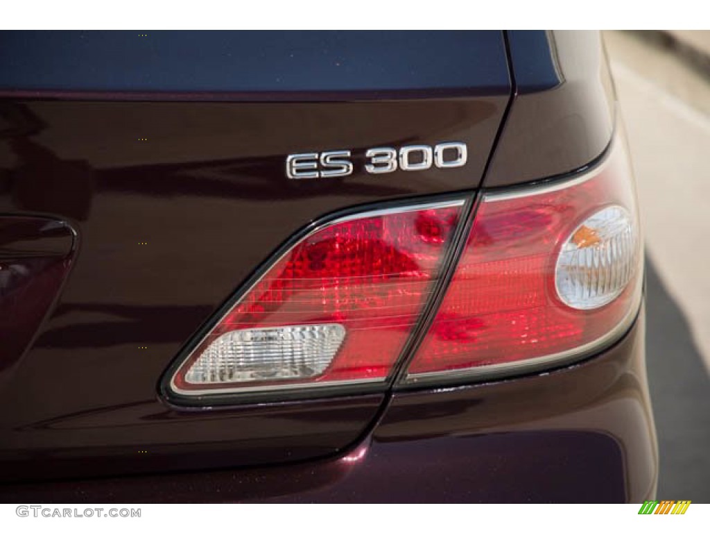 2003 ES 300 - Black Garnet Pearl / Ivory photo #11