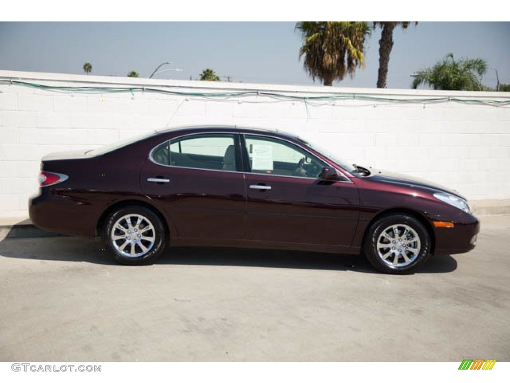 2003 ES 300 - Black Garnet Pearl / Ivory photo #12