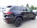 Diamond Black Crystal Pearl - Grand Cherokee Altitude 4x4 Photo No. 5