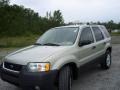 2003 Gold Ash Metallic Ford Escape XLT V6 4WD  photo #1