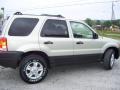 2003 Gold Ash Metallic Ford Escape XLT V6 4WD  photo #4