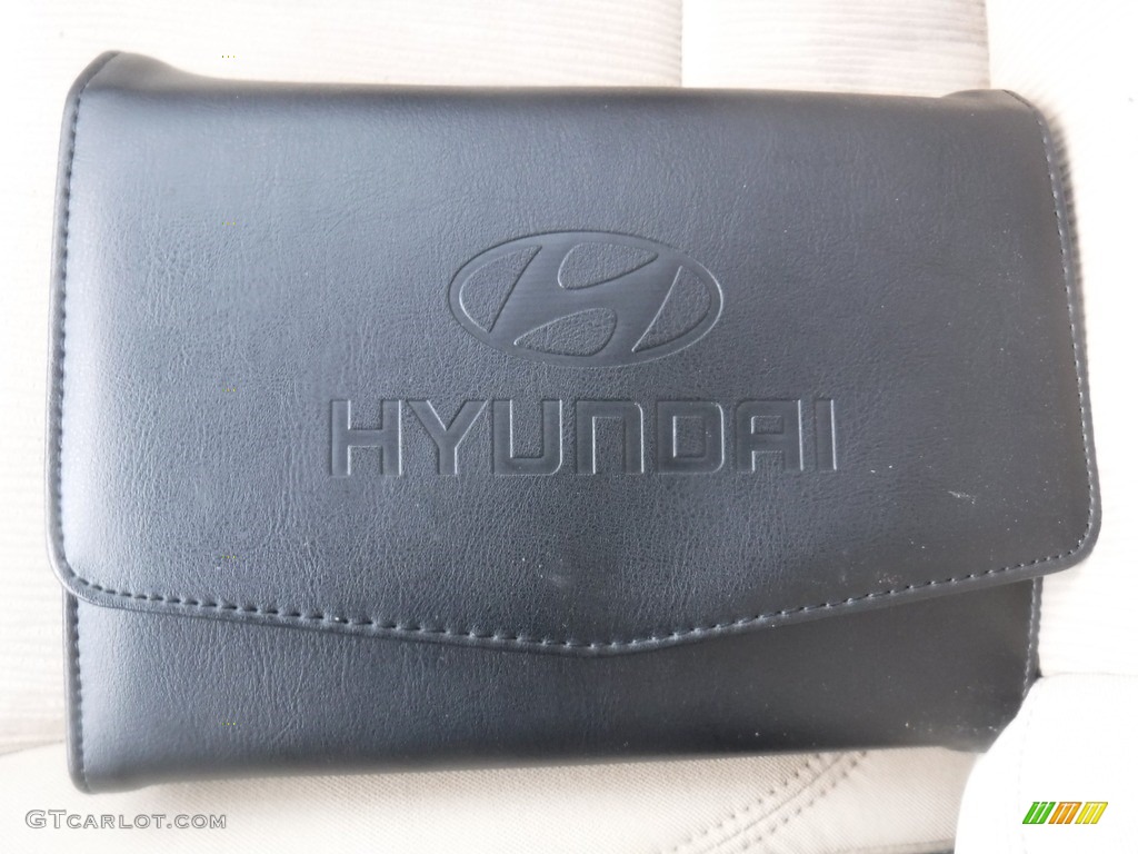 2013 Sonata GLS - Sparkling Ruby / Camel photo #28