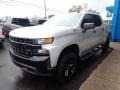 2020 Silver Ice Metallic Chevrolet Silverado 1500 Custom Trail Boss Crew Cab 4x4  photo #10