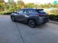 Nebula Gray Pearl - UX 250h AWD Photo No. 4