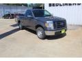 Sterling Gray Metallic - F150 XL Regular Cab Photo No. 2