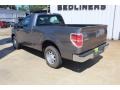 Sterling Gray Metallic - F150 XL Regular Cab Photo No. 8