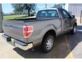 Sterling Gray Metallic - F150 XL Regular Cab Photo No. 10