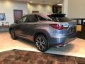 2021 Nebula Gray Pearl Lexus RX 350 AWD  photo #4