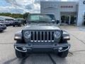 Sting-Gray - Wrangler Unlimited Sahara 4x4 Photo No. 7