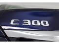 Lunar Blue Metallic - C 300 Sedan Photo No. 9