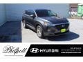 2020 Rainforest Hyundai Santa Fe SEL  photo #1