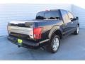 Agate Black - F150 Platinum SuperCrew 4x4 Photo No. 11