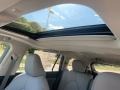 Magnetic Gray Metallic - Highlander Hybrid XLE AWD Photo No. 17