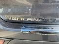 Magnetic Gray Metallic - Highlander Hybrid XLE AWD Photo No. 27