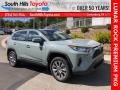 Lunar Rock - RAV4 XLE Premium AWD Photo No. 1