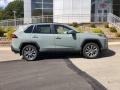 Lunar Rock - RAV4 XLE Premium AWD Photo No. 34