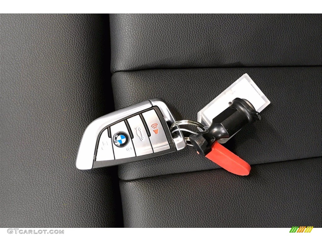 2020 BMW 5 Series 530i Sedan Keys Photo #139738811