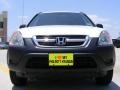 Taffeta White - CR-V LX Photo No. 9