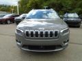 Sting-Gray - Cherokee Limited 4x4 Photo No. 2