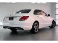 Polar White - C 300 Sedan Photo No. 16