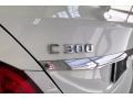 Polar White - C 300 Sedan Photo No. 27