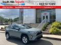 Lunar Rock - RAV4 XLE AWD Photo No. 1