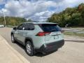 Lunar Rock - RAV4 XLE AWD Photo No. 2