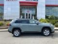 Lunar Rock - RAV4 XLE AWD Photo No. 33