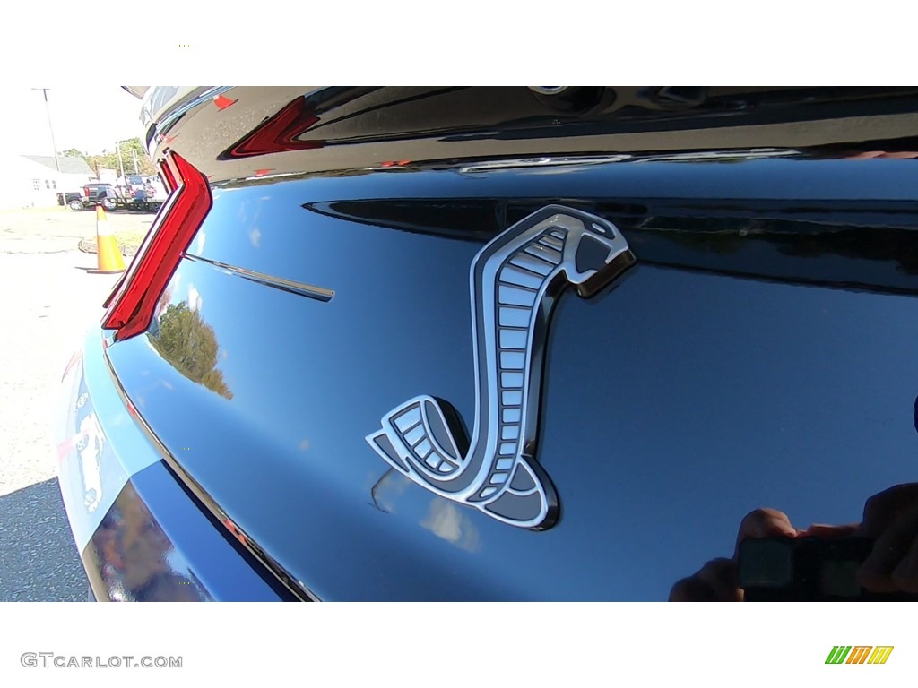 2020 Ford Mustang Shelby GT500 Marks and Logos Photo #139754480